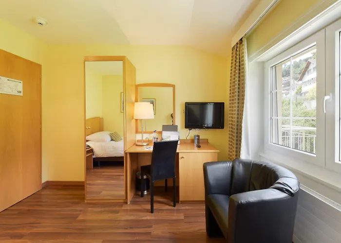 Du Leman - Jongny Hotell 3*